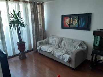 Imagen 11