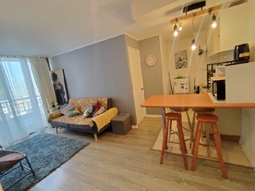 Arriendo Mensual / Departamento / Santiago