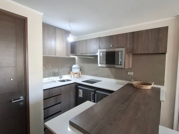 Arriendo Mensual / Departamento / Santiago