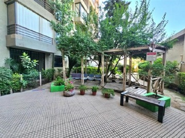 Imagen 20