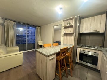 Arriendo Mensual / Departamento / Santiago