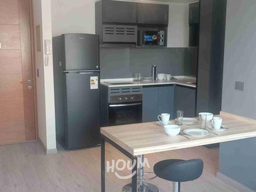 Arriendo Mensual / Departamento / Santiago