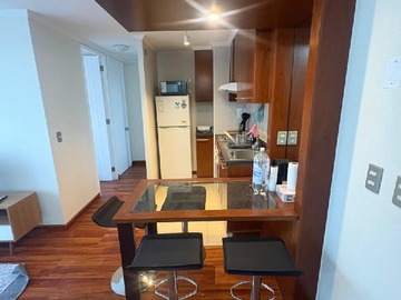 Arriendo Mensual / Departamento / Santiago