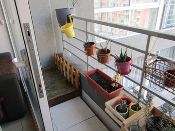 Imagen 6
