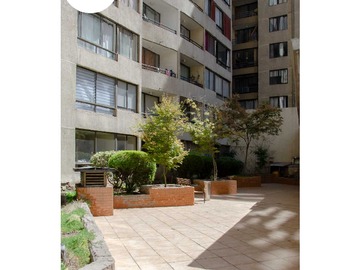 Imagen 19