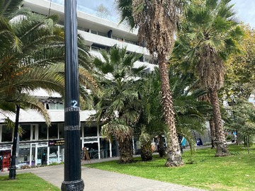 Arriendo Mensual / Departamento / Santiago