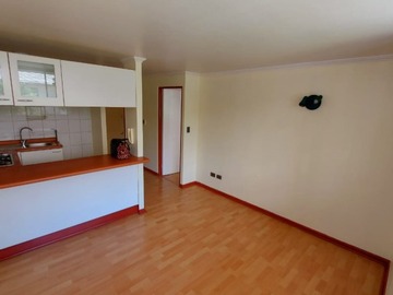 Imagen 10