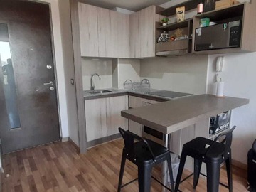 Arriendo Mensual / Departamento / Santiago