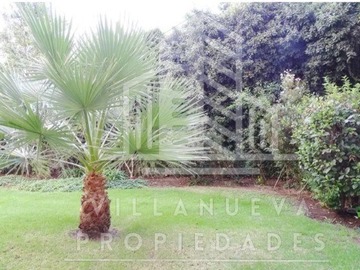 Imagen 14