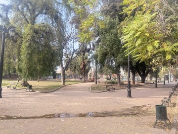 Imagen 16