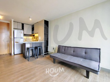 Arriendo Mensual / Departamento / Santiago