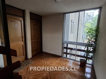 Imagen 13