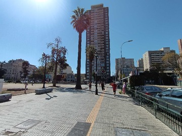 Imagen 13