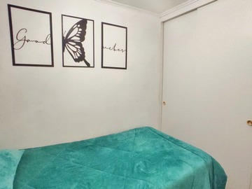 Imagen 5