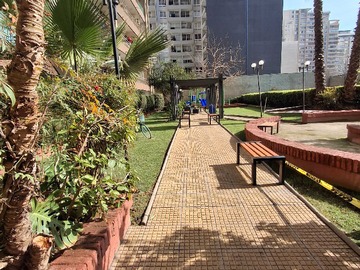 Imagen 10
