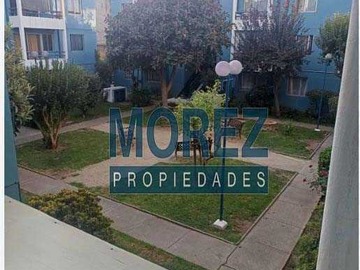 Imagen 15
