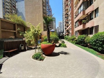 Imagen 11