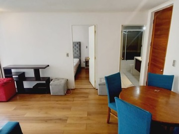 Arriendo Mensual / Departamento / Santiago