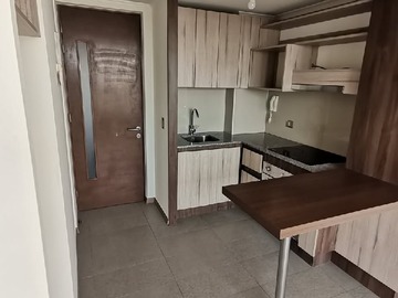 Arriendo Mensual / Departamento / Santiago