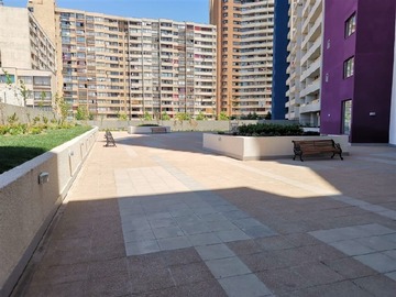 Imagen 19