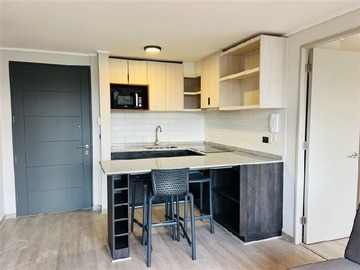 Arriendo Mensual / Departamento / Santiago