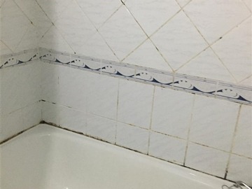 Imagen 10