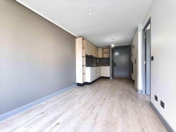 Arriendo Mensual / Departamento / Santiago