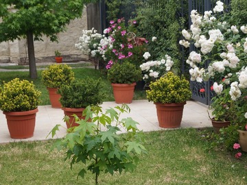 Imagen 5