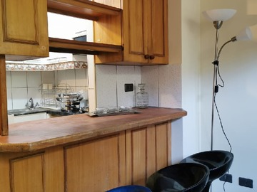 Arriendo Mensual / Departamento / Santiago