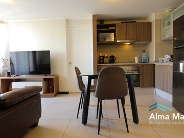 Arriendo Mensual / Departamento / Santiago