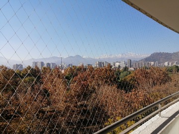 Imagen 5