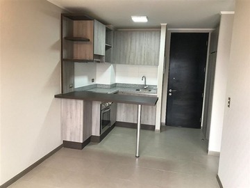 Arriendo Mensual / Departamento / Santiago