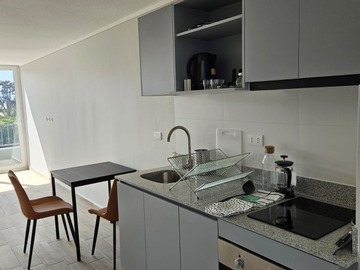 Arriendo Mensual / Departamento / Santiago