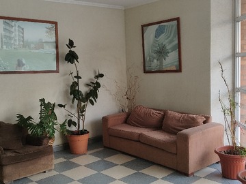 Imagen 15
