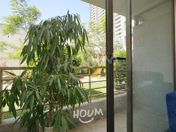 Imagen 6
