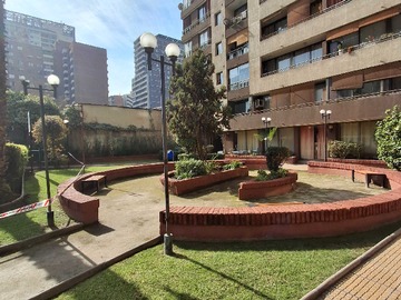 Imagen 11