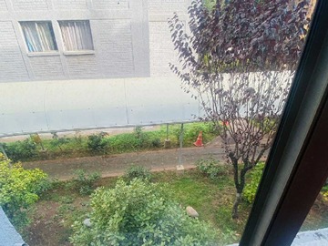 Imagen 12