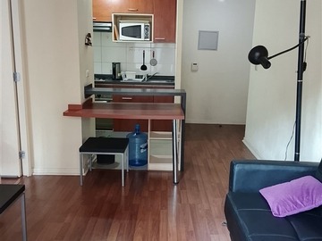 Arriendo Mensual / Departamento / Santiago