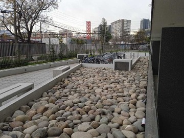 Imagen 10