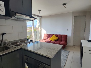 Arriendo Mensual / Departamento / Santiago