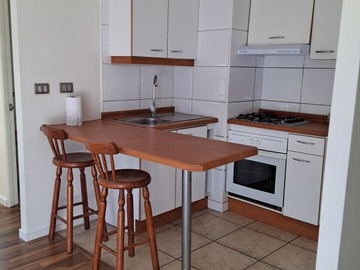 Arriendo Mensual / Departamento / Santiago