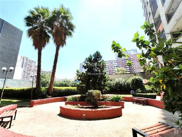 Imagen 18