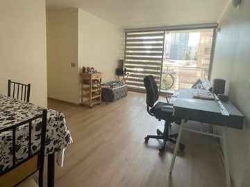 Arriendo Mensual / Departamento / Santiago