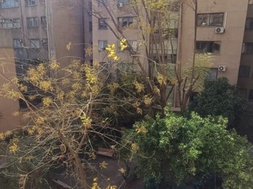 Arriendo Mensual / Departamento / Santiago