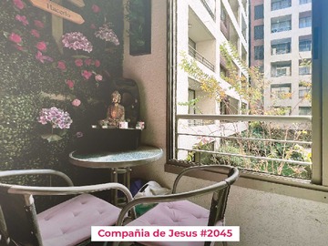 Imagen 12