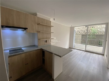 Arriendo Mensual / Departamento / Santiago