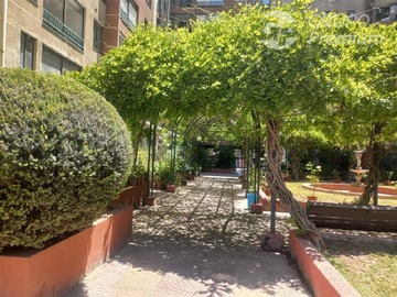 Imagen 20