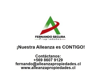Imagen 19