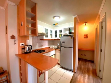 Arriendo Mensual / Departamento / Santiago