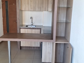 Arriendo Mensual / Departamento / Santiago